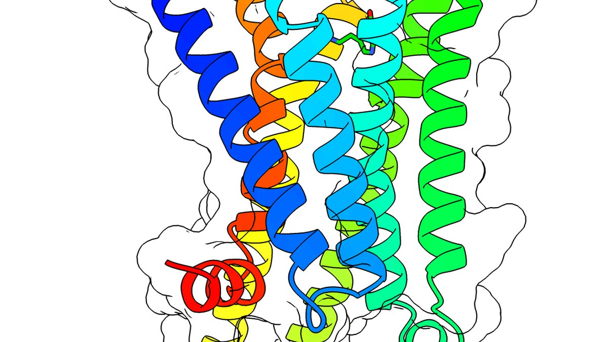 Class-B GPCR receptor ribbon structure of the kind an incretin multi-agonist peptide activates — a Panacea Bio Chem Decarutide record by Bogdan Dicoias